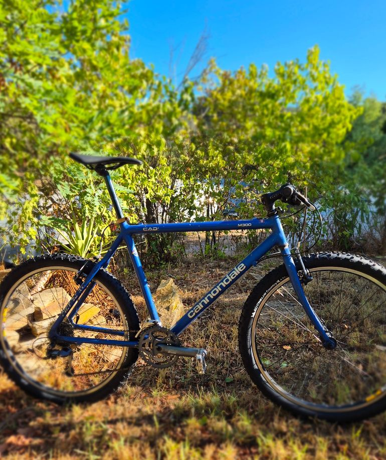 Cannondale Cad M300 1995