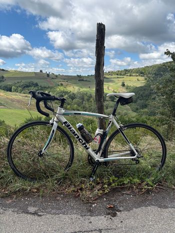 Bianchi VIA Nirone 7 サイズ53 ALU CARBON 2022 Bianchi Via Nirone 7 - 105 – Specs, Comparisons