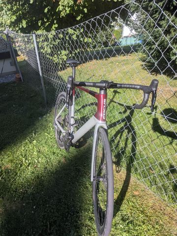Brugt Focus IZALCO MAX 8.9 2024 2024 Road & Gravel — billede 4 af 6