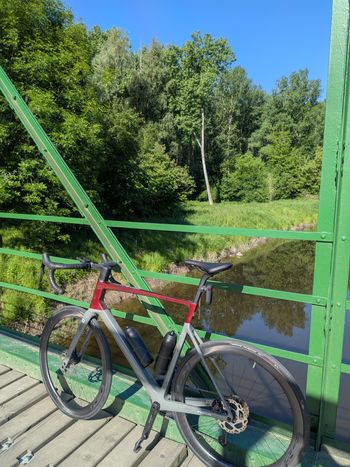 Focus, IZALCO MAX 8.9 2024