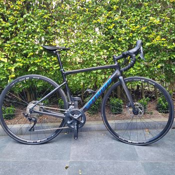 Specialized Allez Sport 2014 2014