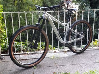 Used Orbea LAUFEY H10 2022 2022 Mountainbike, Light Gray, 29 — image 2 of 6