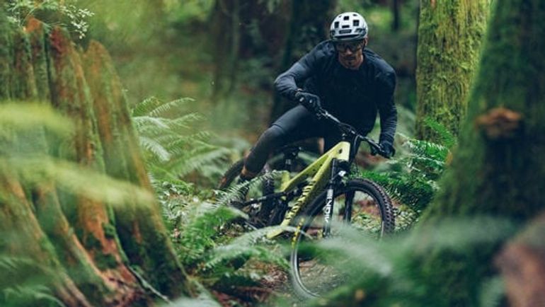 Used Canyon Canyon Spectral CF 7 2024 Mountainbike, Light Gray — image 11 of 17