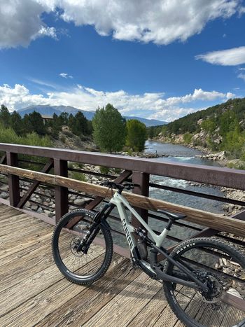 Used Canyon Spectral 29 CF 7 2024 2024 Mountainbike, Light Gray, 29 — image 4 of 4