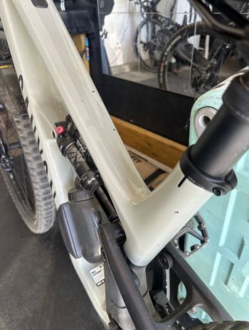 Used Canyon Canyon Spectral CF 7 2024 Mountainbike, Light Gray — image 17 of 17