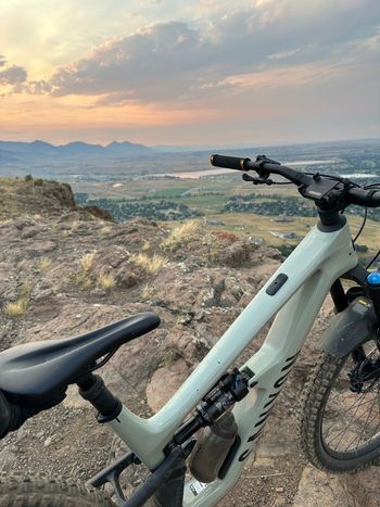 Used Canyon Spectral 29 CF 7 2024 2024 Mountainbike, Light Gray, 29 — image 2 of 4