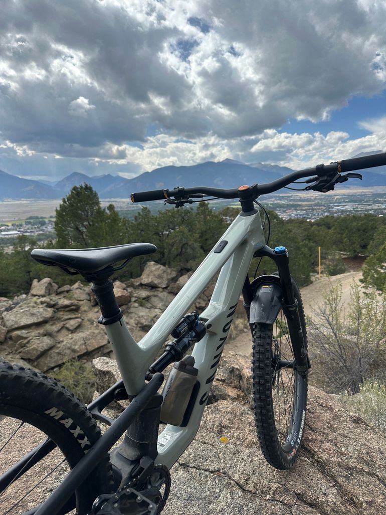 Used Canyon Spectral 29 CF 7 2024 2024 Mountainbike, Light Gray, 29 — image 1 of 4