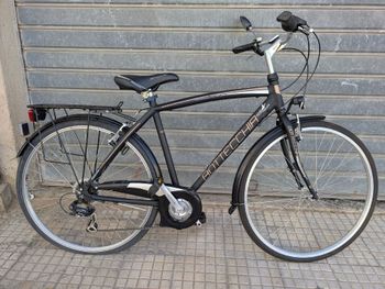 Bottecchia, 205 TY21 6S MAN