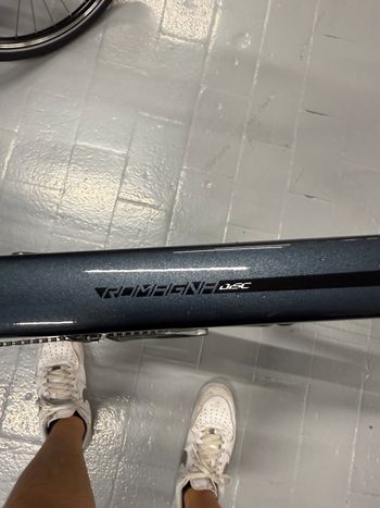 Sensa, Romagna Disc Tiagra 2024