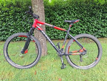 Mtb Rockrider 520 Rockrider 560 Recensione Mtb Rockrider 560