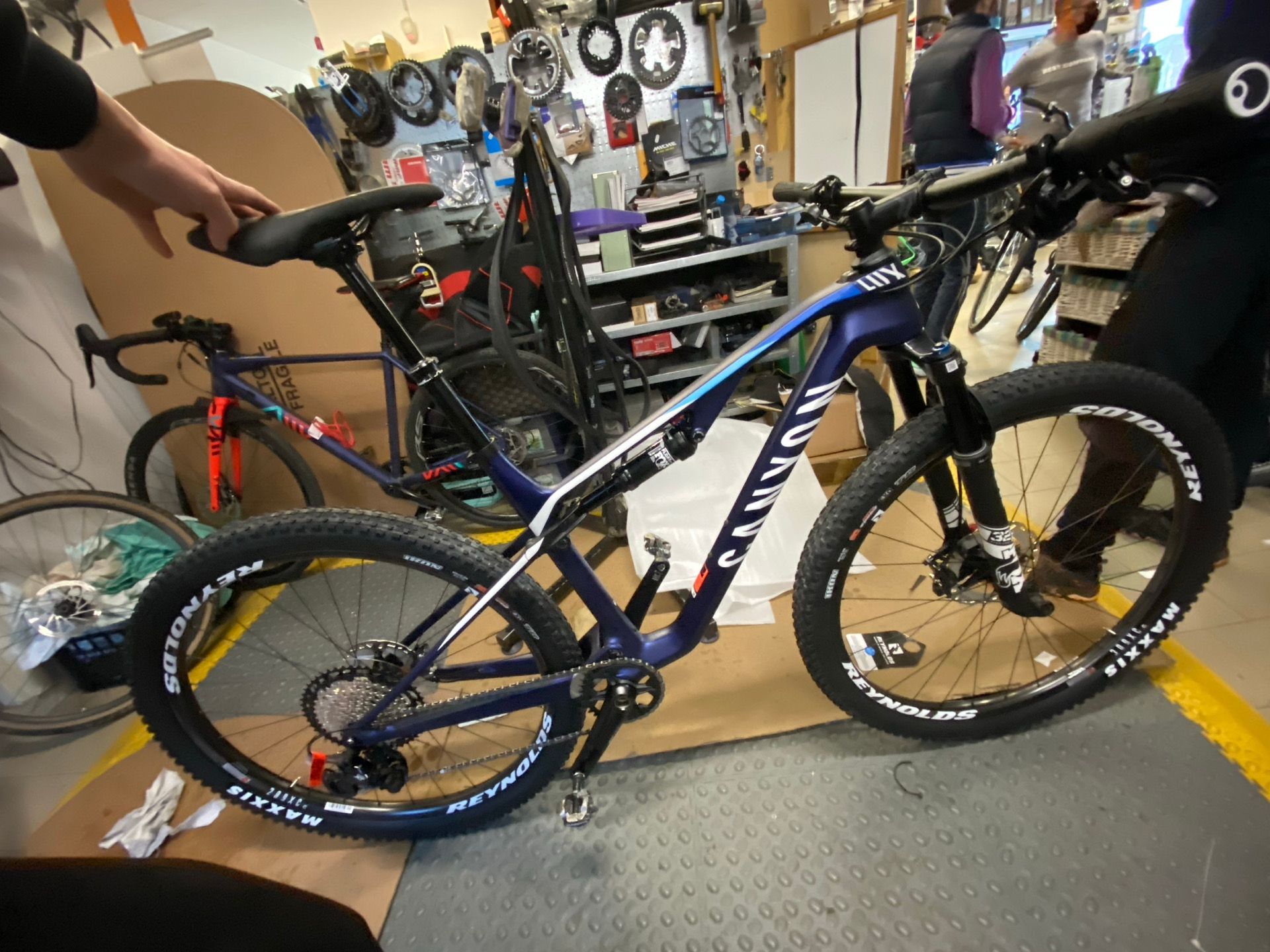 Canyon Lux CF 2022 2022