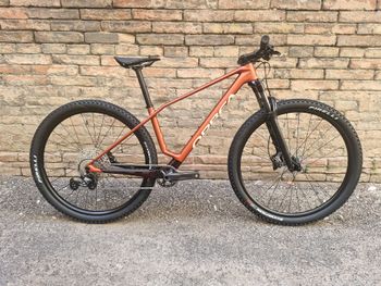 Orbea, ALMA M50 2026