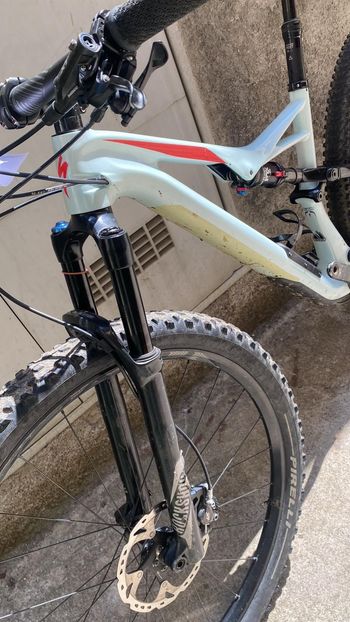 Used Specialized Camber Pro Carbon 29 2017 2017 Mountainbike, Hellgrau, 29 — image 3 of 10