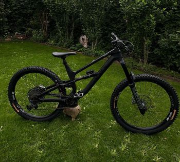 Canyon Torque CF 7 2021 2021 MTB usato