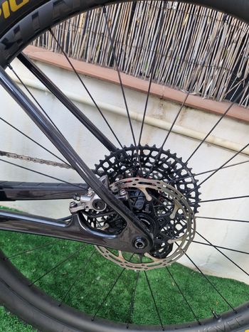 Used Trek Procaliber SRAM X0 Eagle AXS (T-Type) 2025 Mountainbike, Black, 29 — image 17 of 42