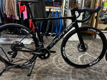 Focus, IZALCO MAX 9.8 2022
