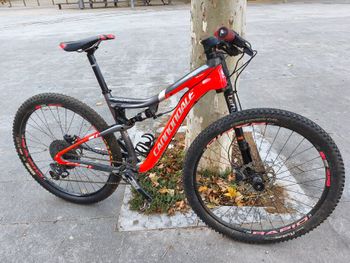 Cannondale, Scalpel 29