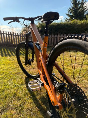 Canyon Torque 29 CF 7 2023 2023 MTB usato