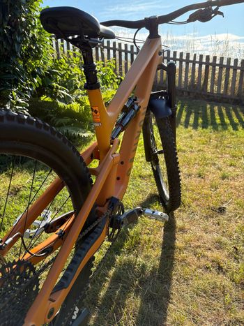 Canyon Torque 29 CF 7 2023 2023 Mountainbike usato, Arancione — immagine 2 di 3