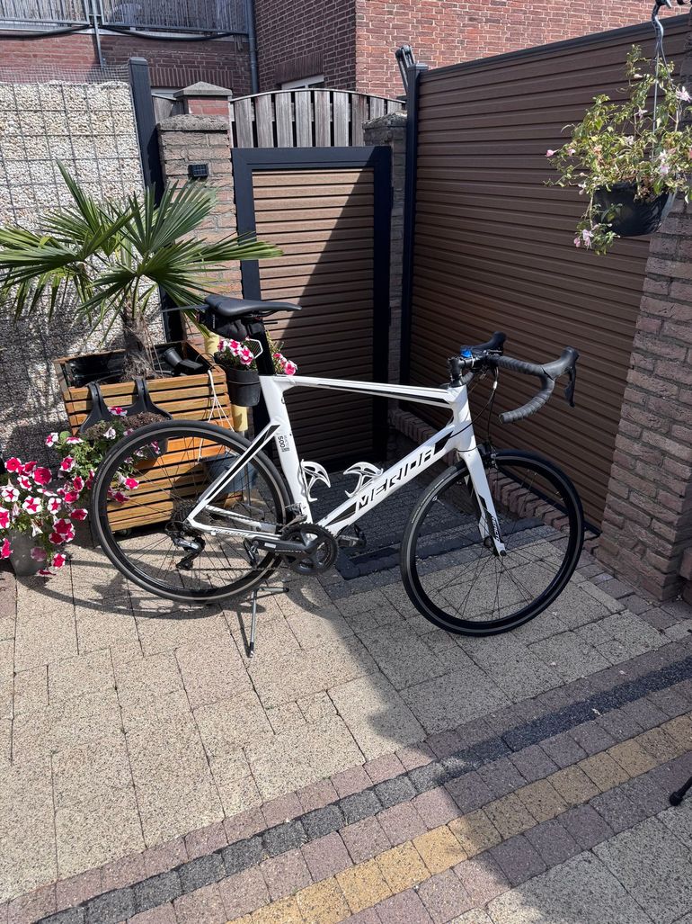 Merida Bikes Merida 2020 Reacto Track 500 Track 500 Merida Track