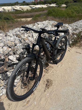 Used Trek Trek Fuel Exe 9.9 Xx T Type 2024 2024 Mountainbike, Schwarz, 29 — image 11 of 14