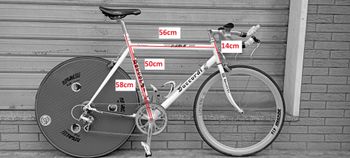 Thumbnail 34