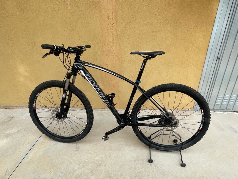 Olympia Olymbia Bull 2018