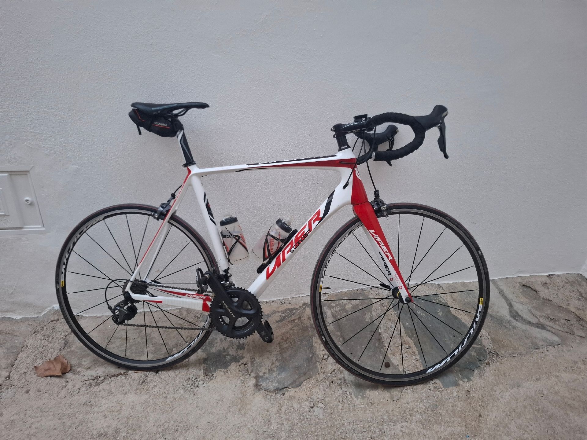 Viper Carbon Concept S 2019