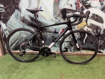 Wilier, Garda SHIMANO 105 12S 2024