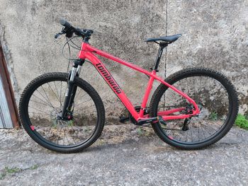 Tweedehands LOMBARDO Sestriere 350 2024 Mountainbike — afbeelding 2 van 3