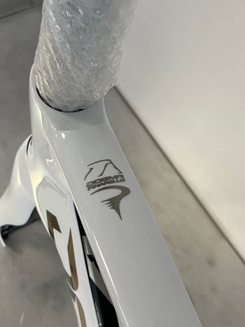 Used Pinarello Dogma Frameset 2025 Road & Gravel — image 11 of 11