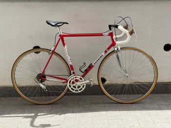 Vintage, Sannino Vintage