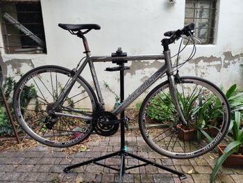 Bottecchia, Altavelocità 2018