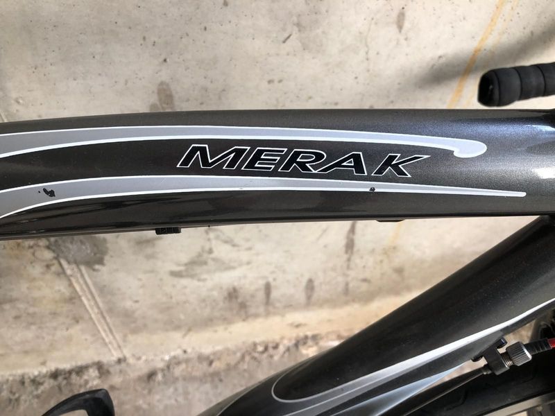 Used De Rosa Merak 2010 Road & Gravel, Light Gray — image 6 of 6