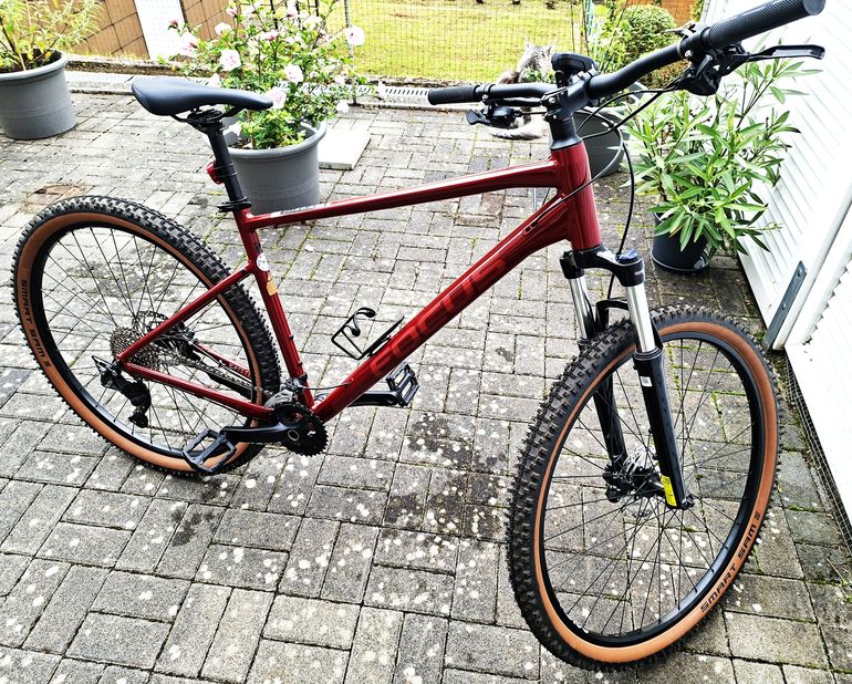 Focus Whistler 3,7 2022