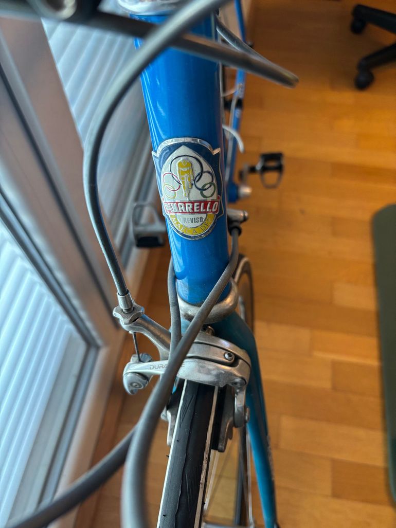 Pianta Di Kumquat Mandarino Cinese - Albero Da Frutto In Vaso 22 Cm, Altezza 60-80 Cm, Da Esterno - Foto 5