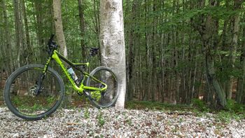 Used Cannondale Scalpel Shimano Deore XT 2018 Mountainbike, Verde — image 4 of 6