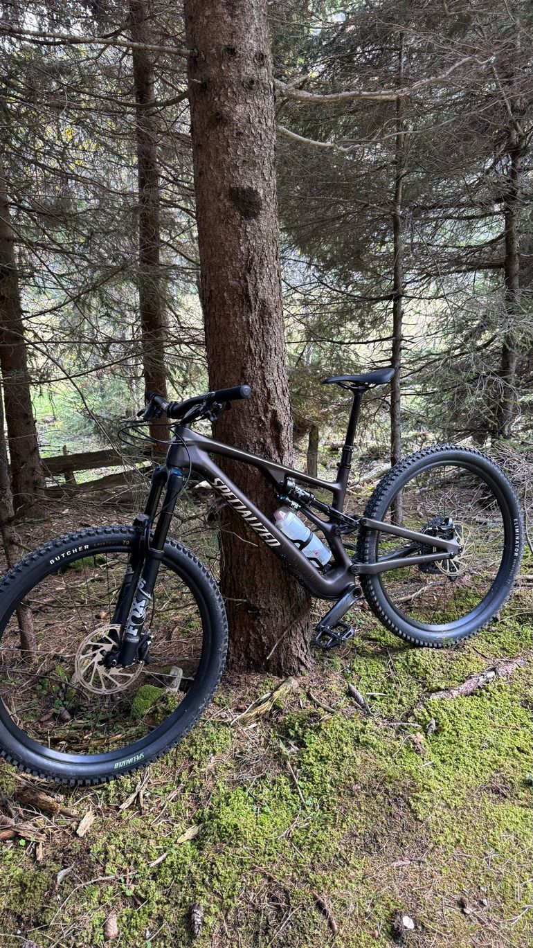 Specialized Stumpjumper Evo Comp Carbon 2024