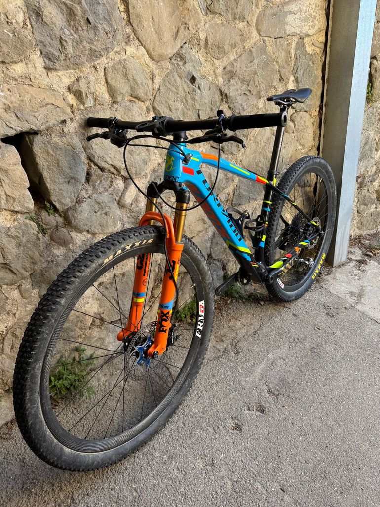 Torpado Ribot X 2020