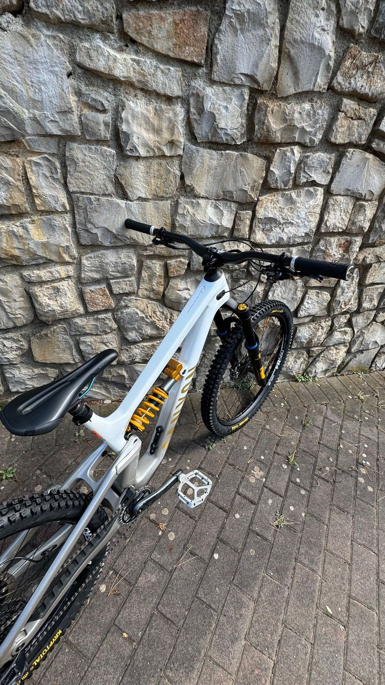 Canyon Torque CF CLLCTV FW 2024 2024 Mountainbike usato, Bianco — immagine 3 di 6