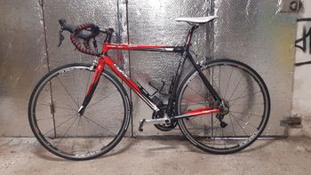 Used Cyfac Gothica 2010 Road & Gravel, Red — image 2 of 9