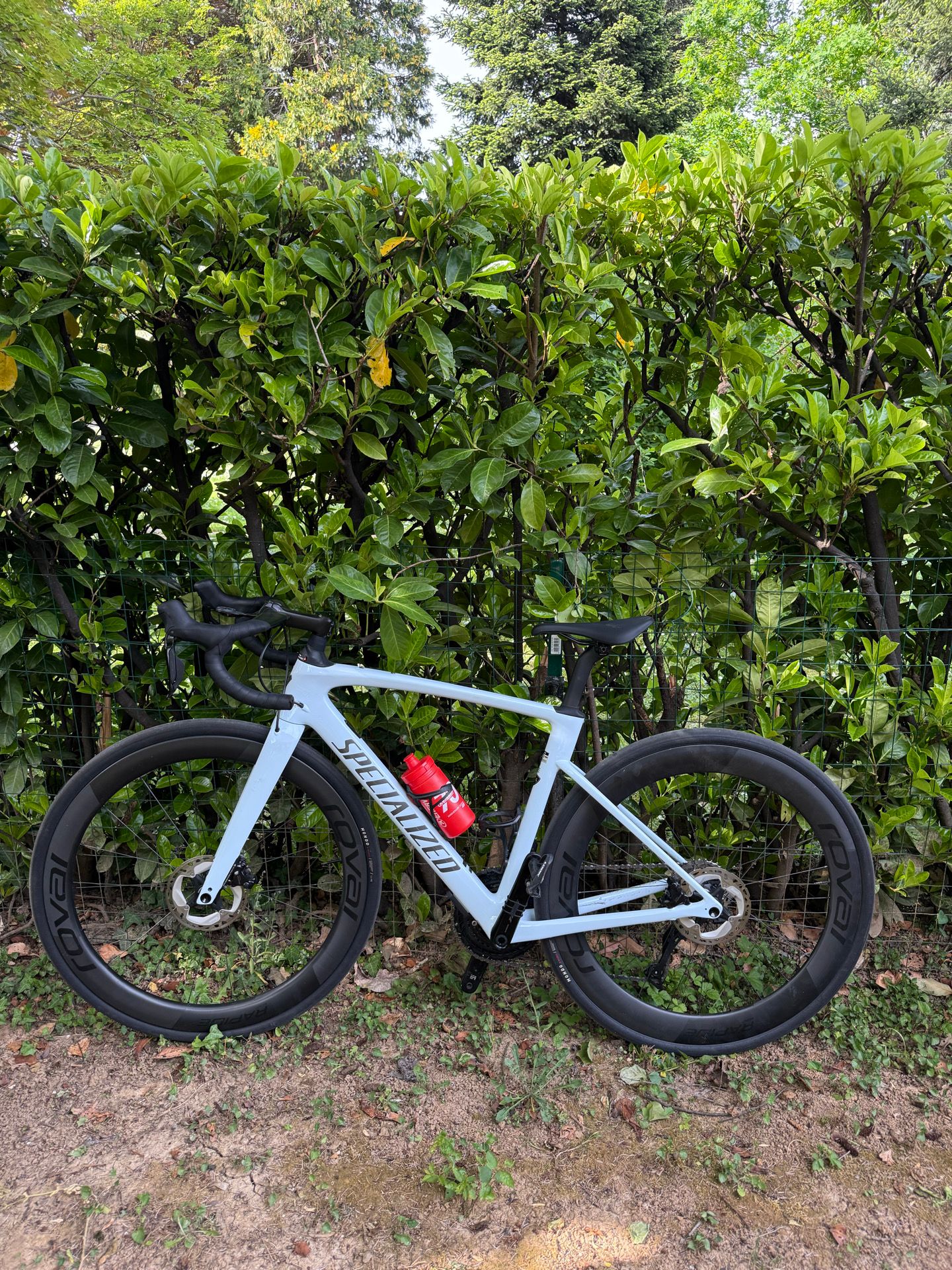 Specialized Roubaix SL8 Comp 2025 2025