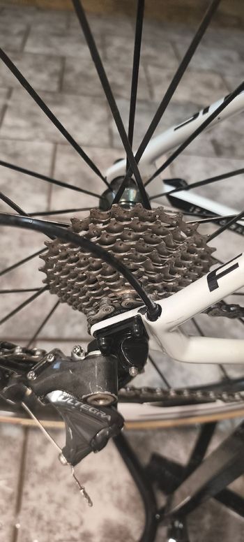 Used Focus Izalco Shimano Ultegra 2020 Road & Gravel, White — image 9 of 15