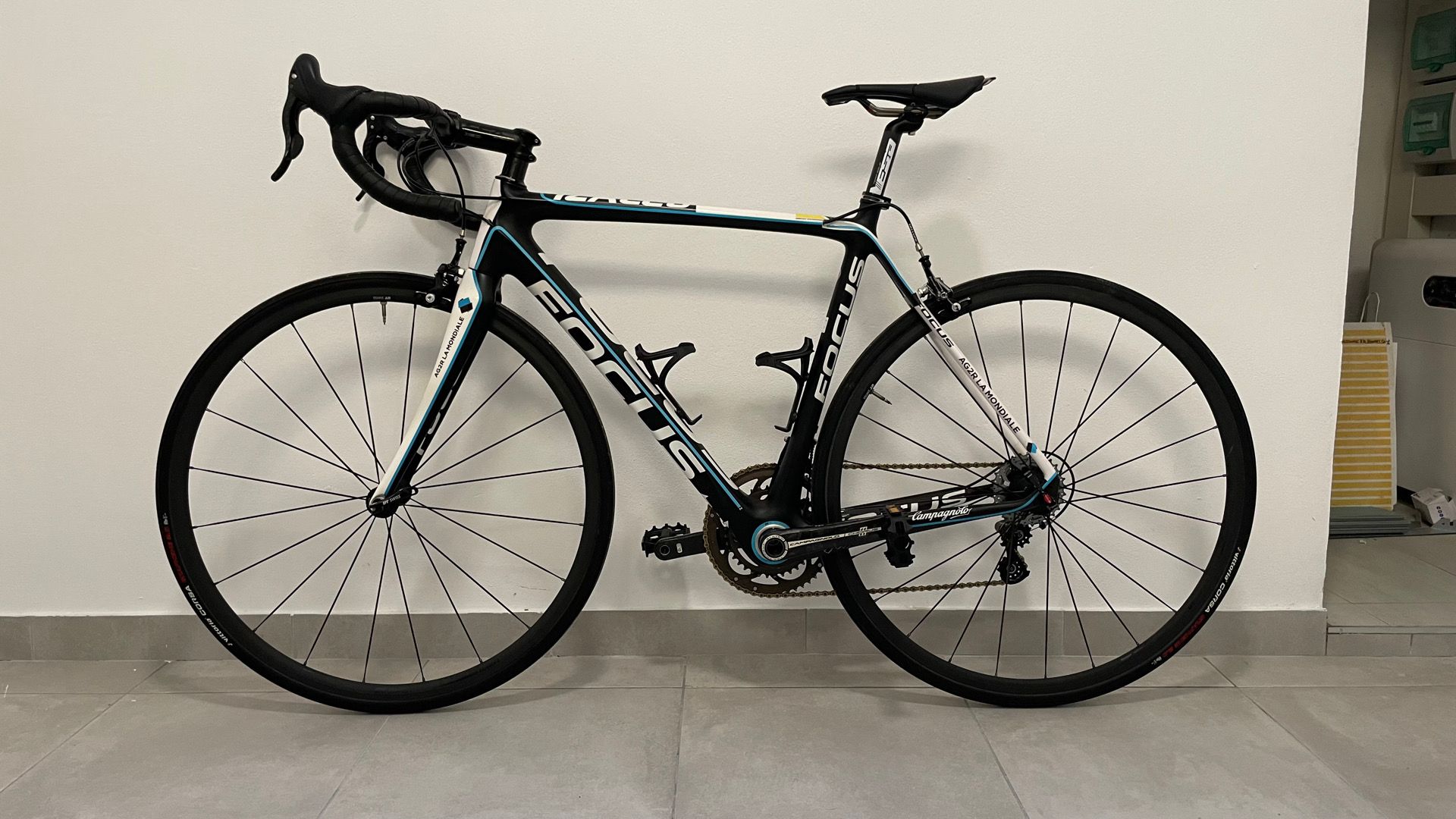 Focus Izalco Team SL 2013