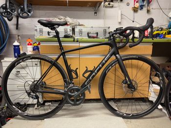 Used Focus Paralane | Up to 70% Off New | buycycle