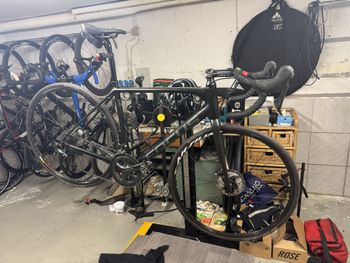 Used Focus Paralane Alurahmen Selbstaufbau 2022 Road & Gravel, Black — image 16 of 16
