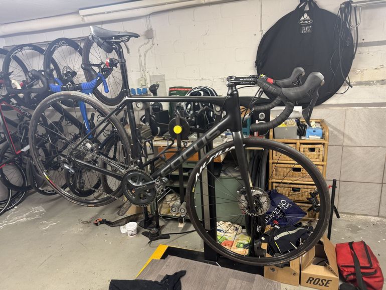 Used Focus Paralane Alurahmen Selbstaufbau 2022 Road & Gravel, Black — image 16 of 16