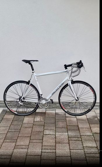 Used Scott Speester 2010 Road & Gravel