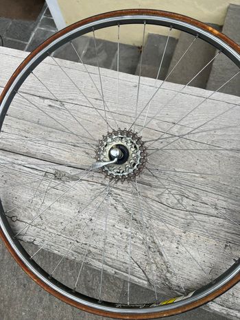 Used Colnago Mexico 1977 Road & Gravel, Blau — image 36 of 39