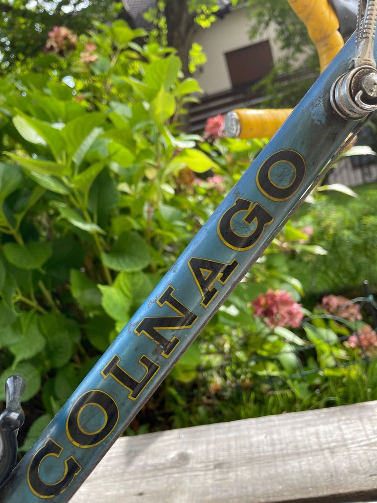Used Colnago Mexico 1977 Road & Gravel, Blau — image 3 of 39